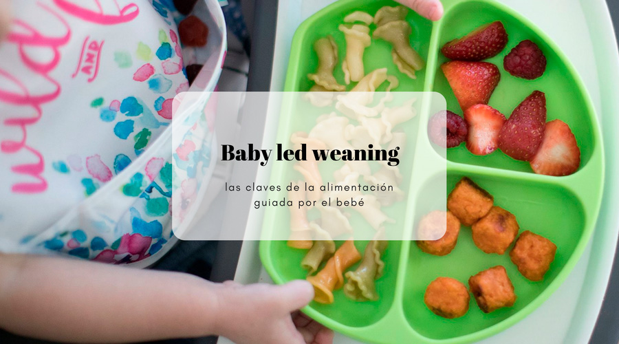 Baby Led Weaning: De la lactancia a la cuchara: consejos sencillos