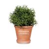 Macetero terracota Herb Garden Planter Sass&belle