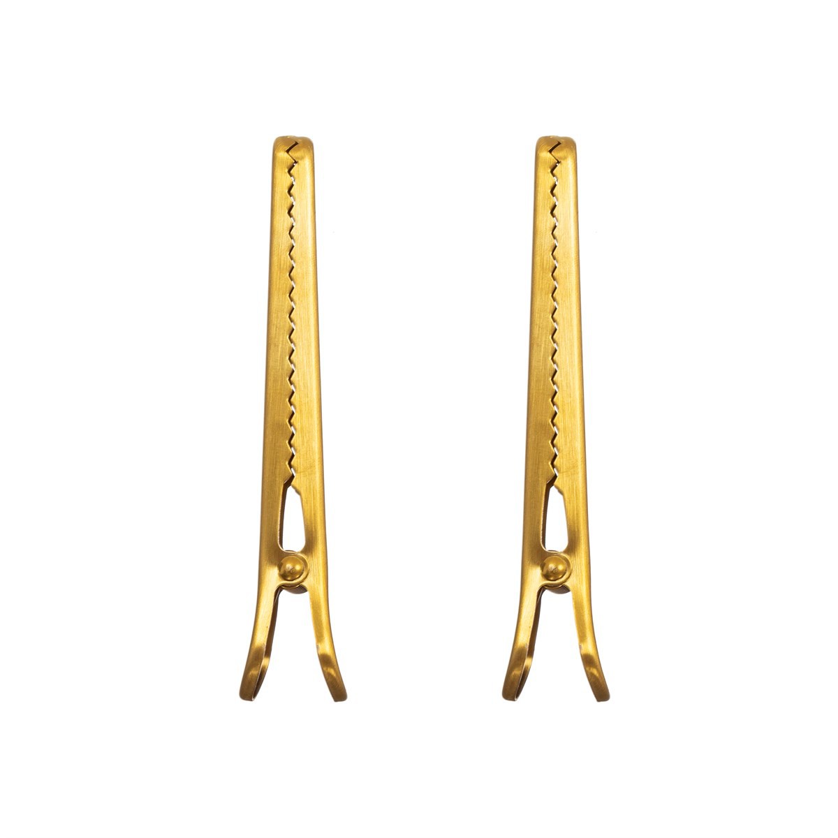 Pack de 2 clips de cierre en latón