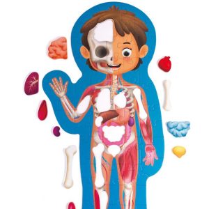 Puzzle gigante de 60 piezas del cuerpo humano
