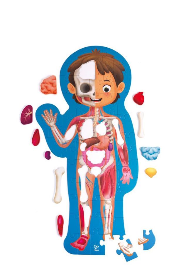 Puzzle gigante de 60 piezas del cuerpo humano