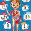 Puzzle gigante de 60 piezas del cuerpo humano