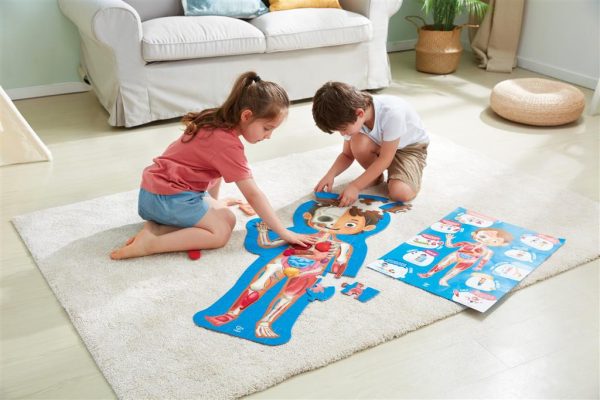 Puzzle gigante de 60 piezas del cuerpo humano