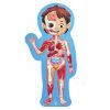Puzzle gigante de 60 piezas del cuerpo humano