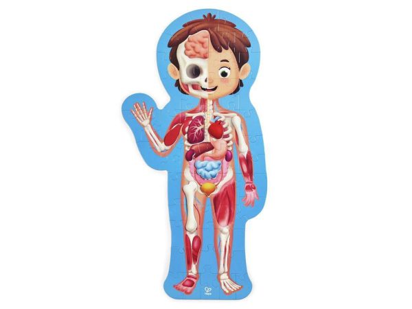 Puzzle gigante de 60 piezas del cuerpo humano