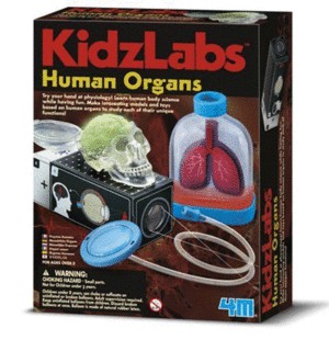 Órganos Humanos 4mKidzLabs