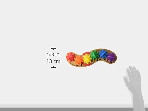 Oruga engranaje de colores