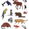 Gran póster de pegatinas animales del mundo