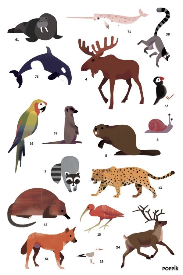 Gran póster de pegatinas animales del mundo
