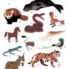 Gran póster de pegatinas animales del mundo