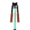 Patinete Kick Scooter Twenty Go City Mint
