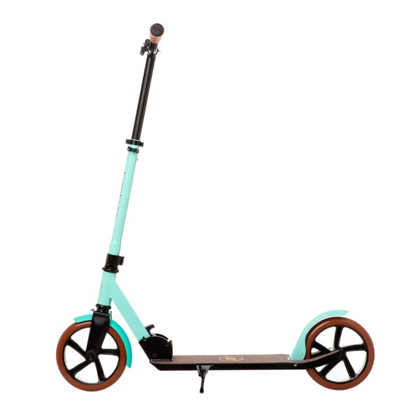 Patinete Kick Scooter Twenty Go City Mint