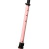 Patinete Kick Scooter Twenty Go City Pink